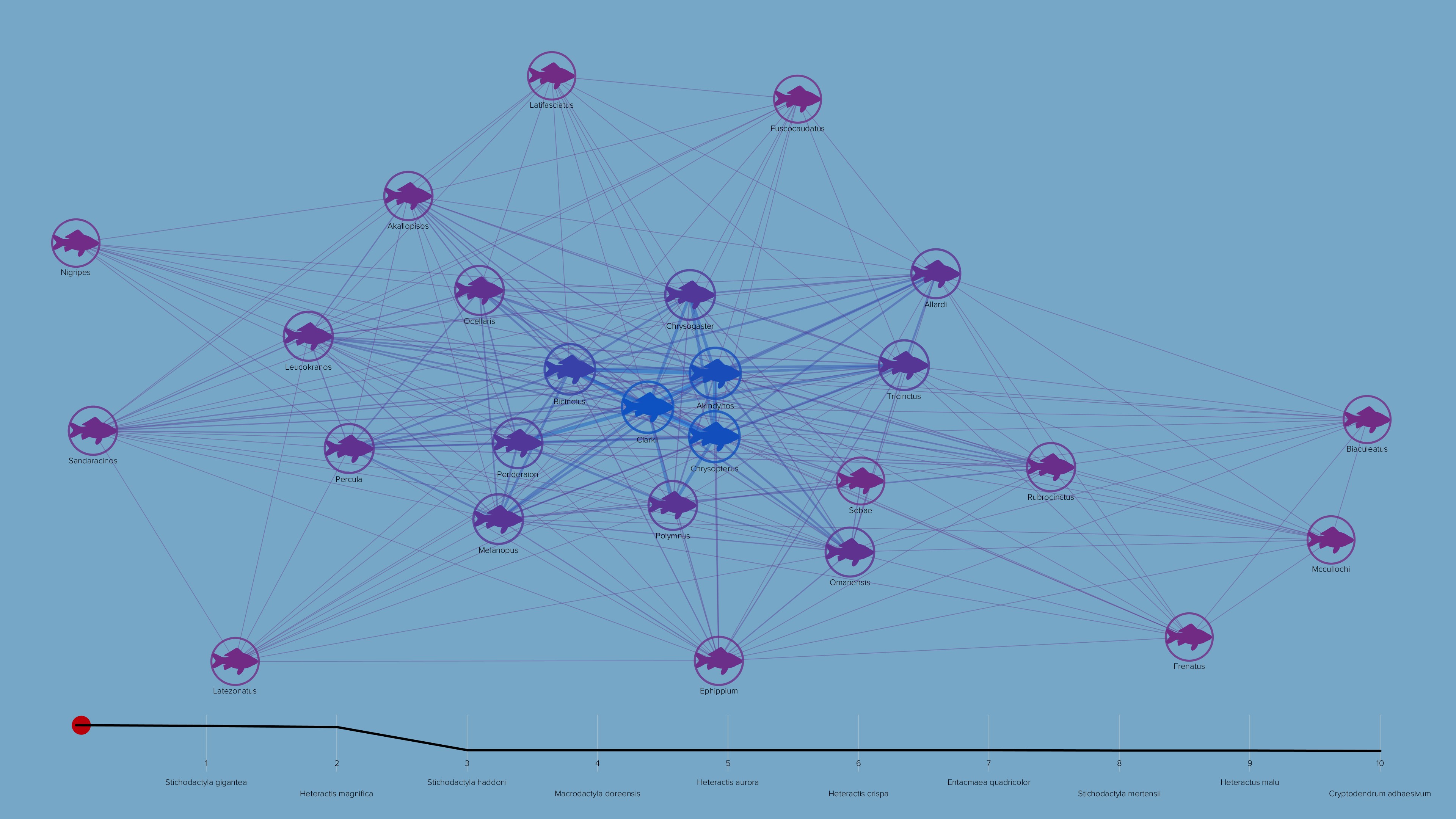 marine ecosystem