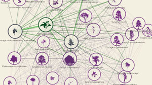 interconnections