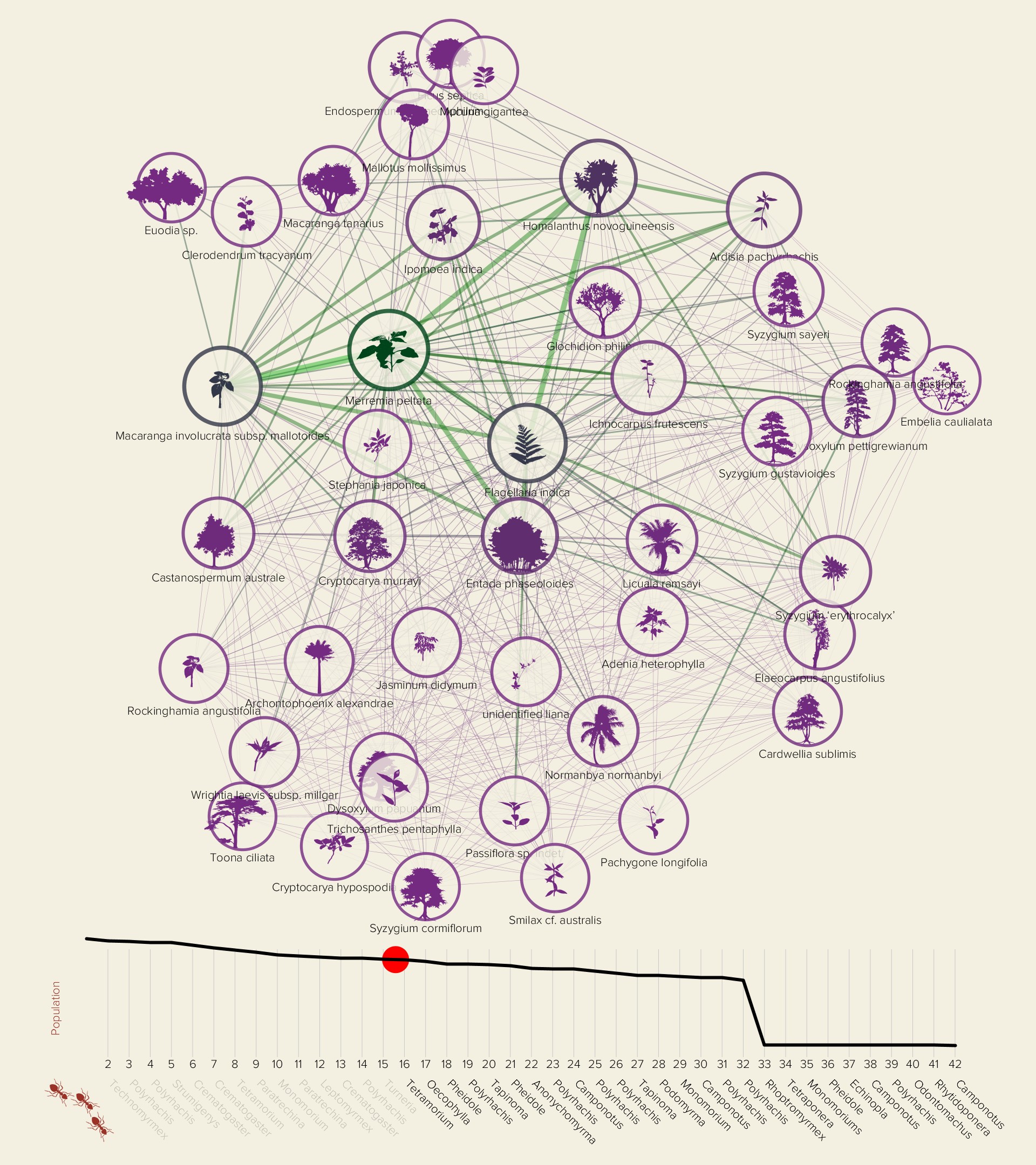 interconnections