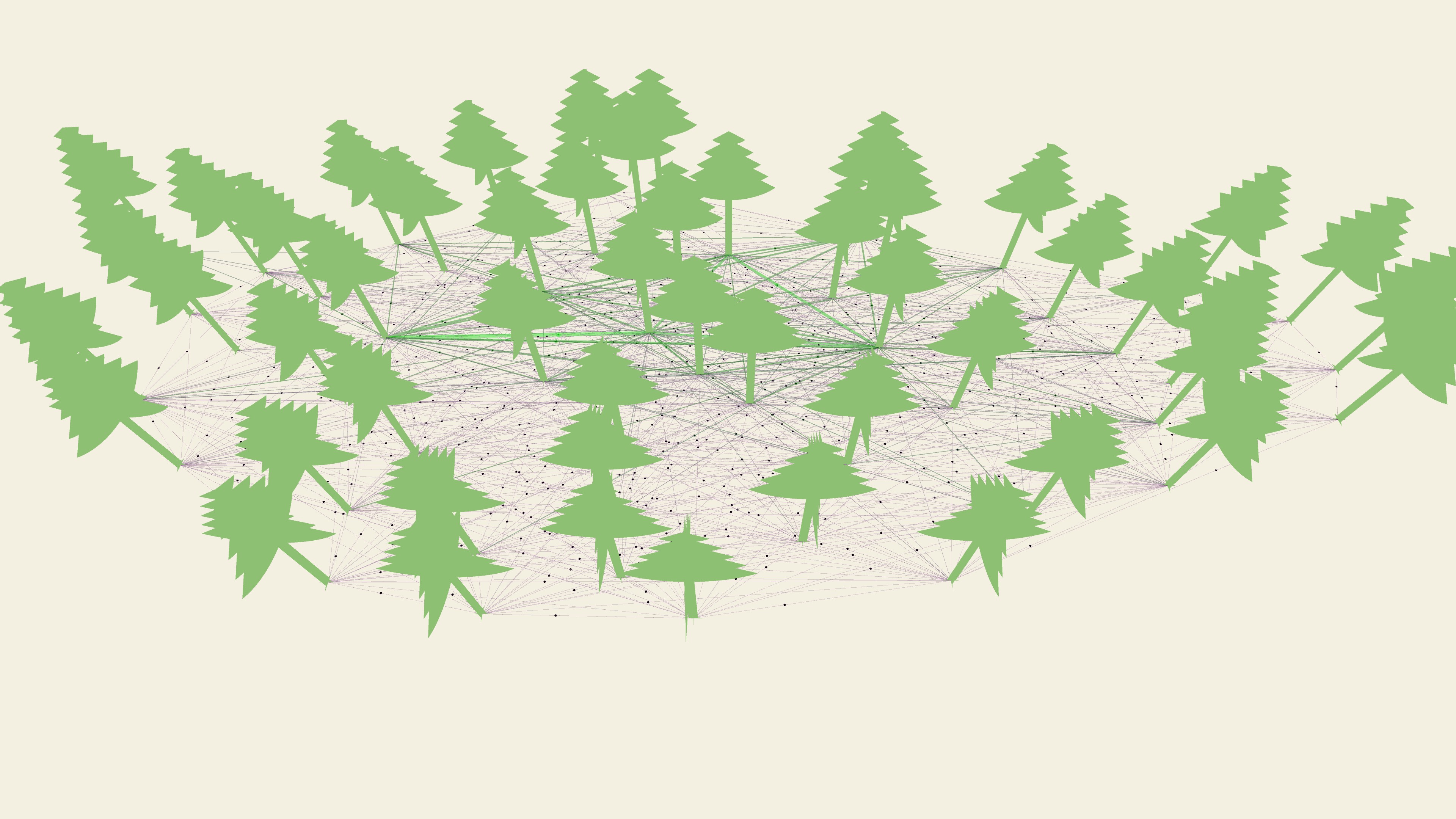 forest